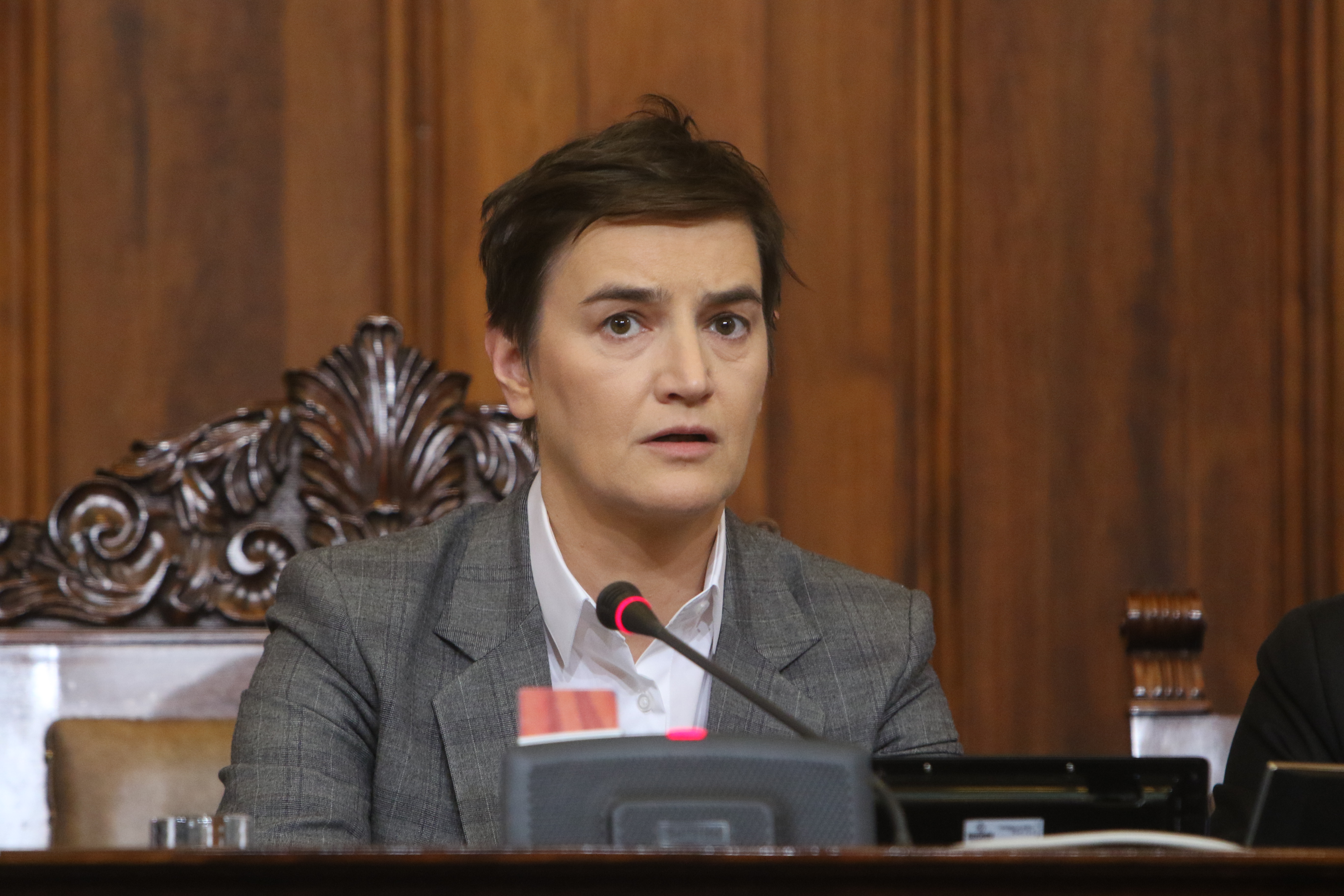 Ana Brnabić elected as new Speaker of Parliament